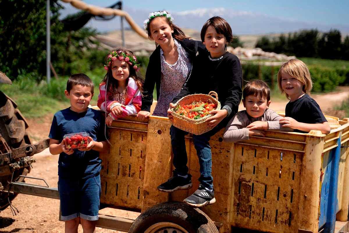 עין זיוון