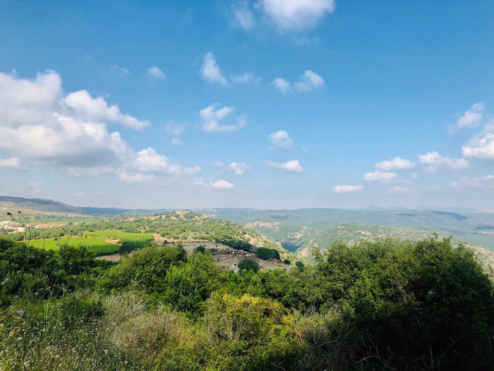 אדמית