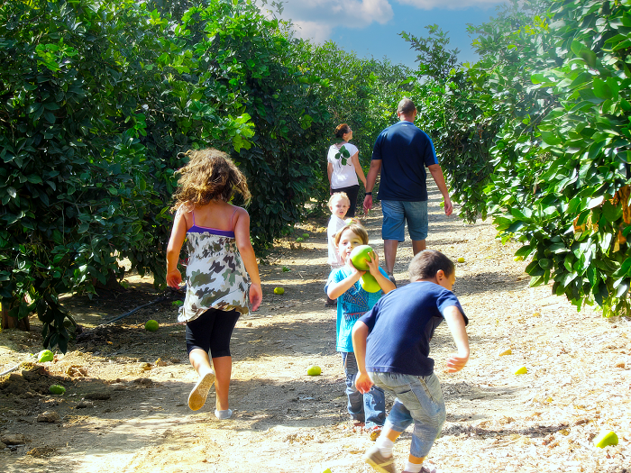 כיסופים