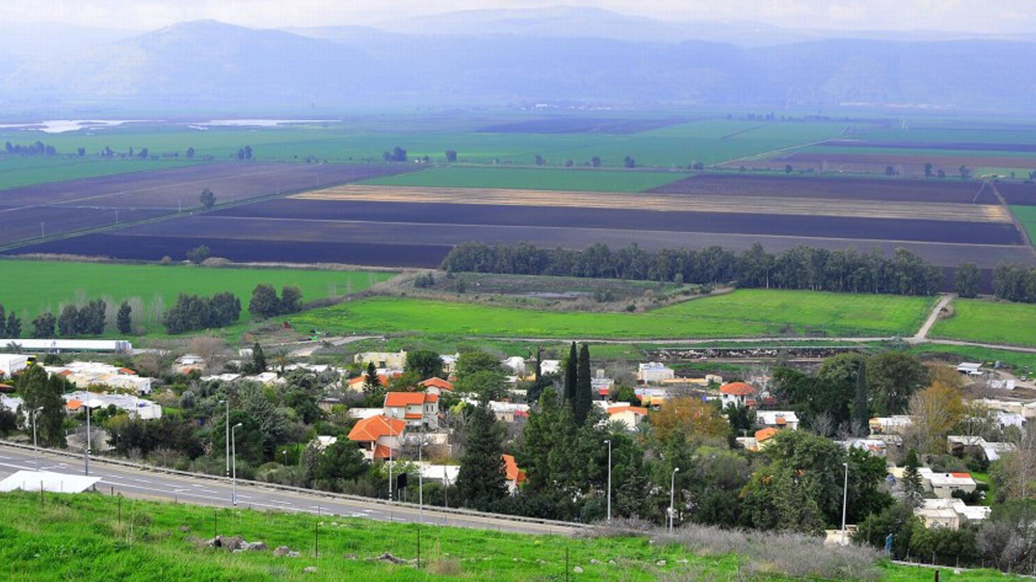 גונן