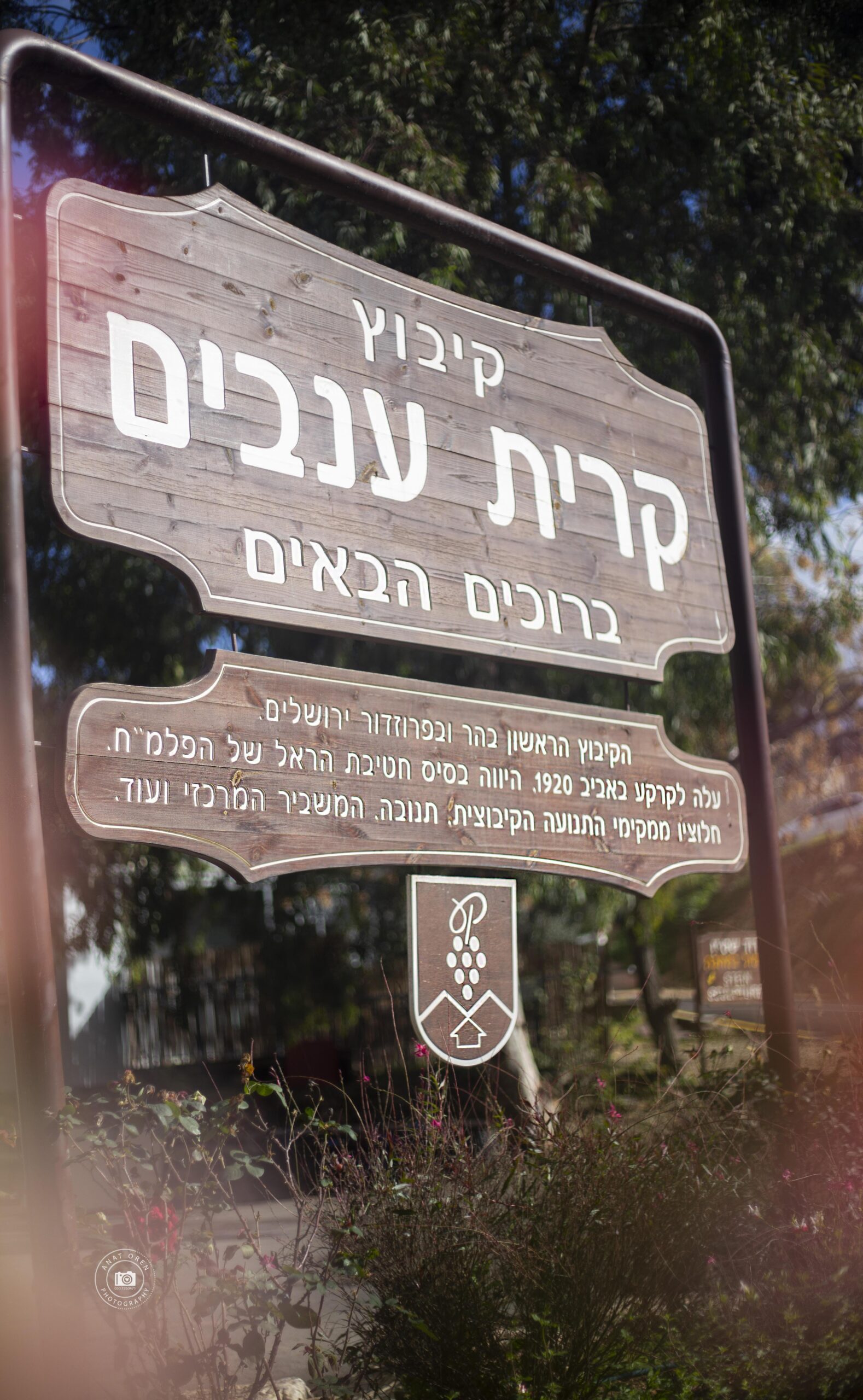 קרית ענבים