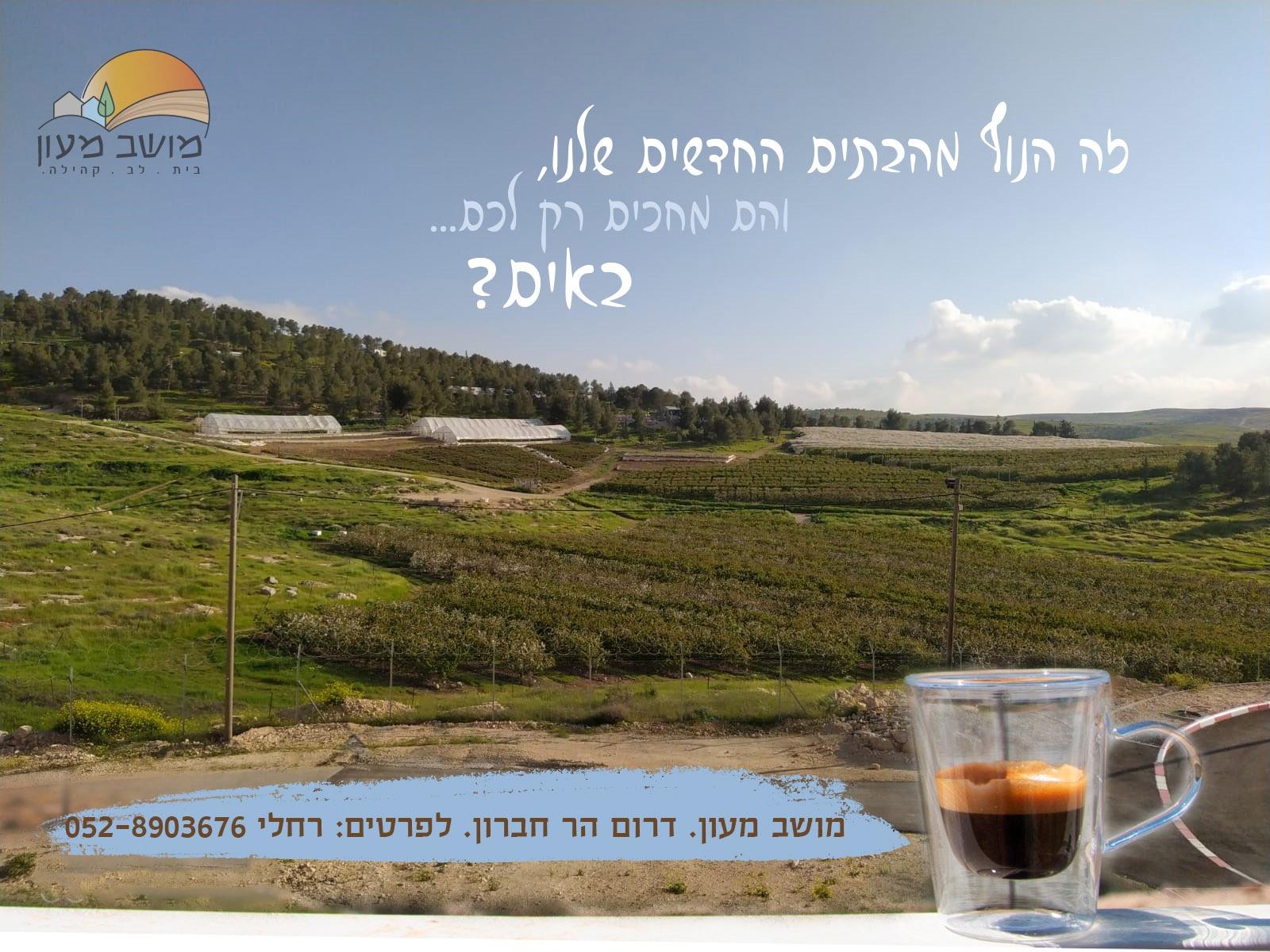 מושב מעון