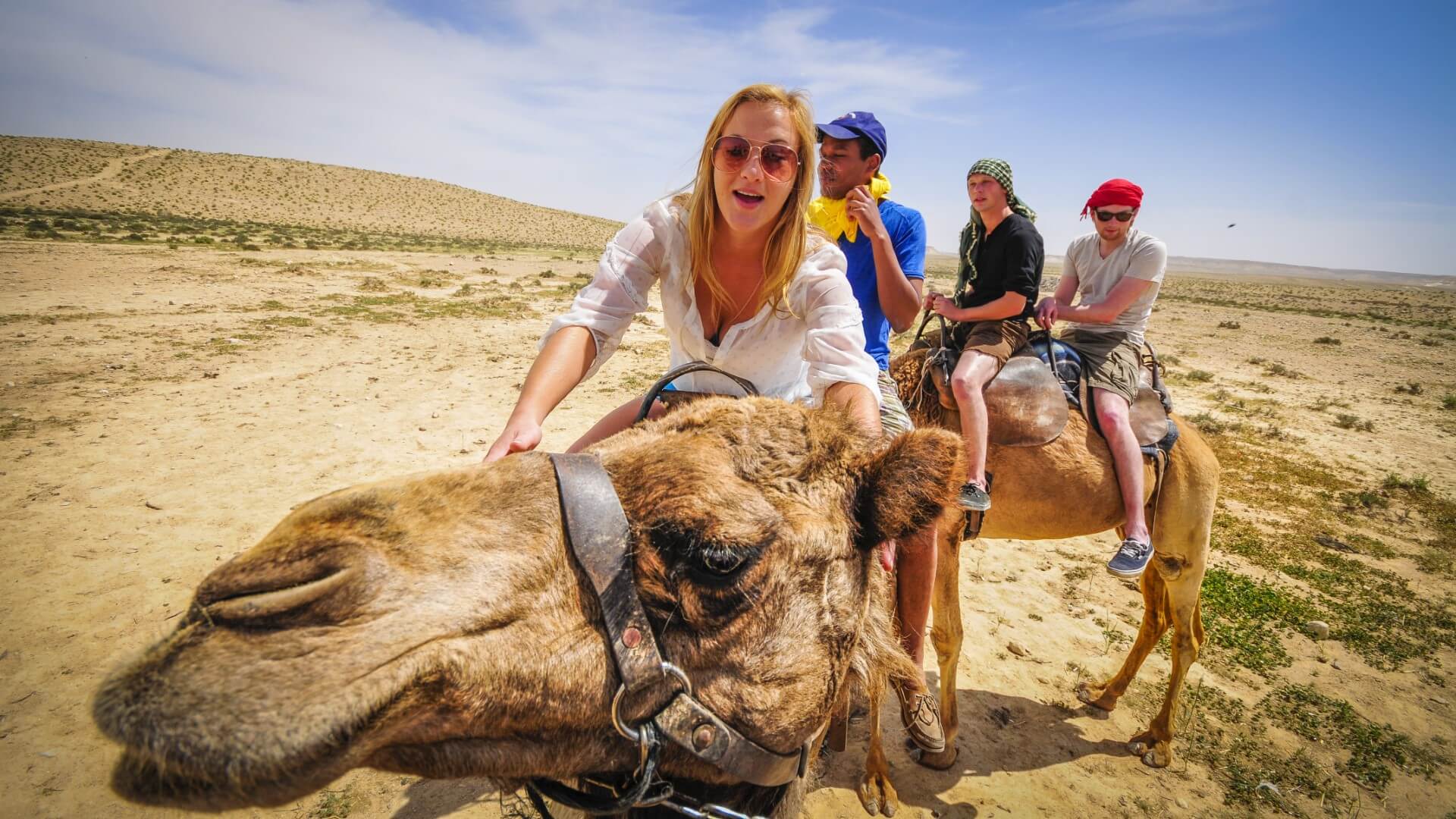 Camel