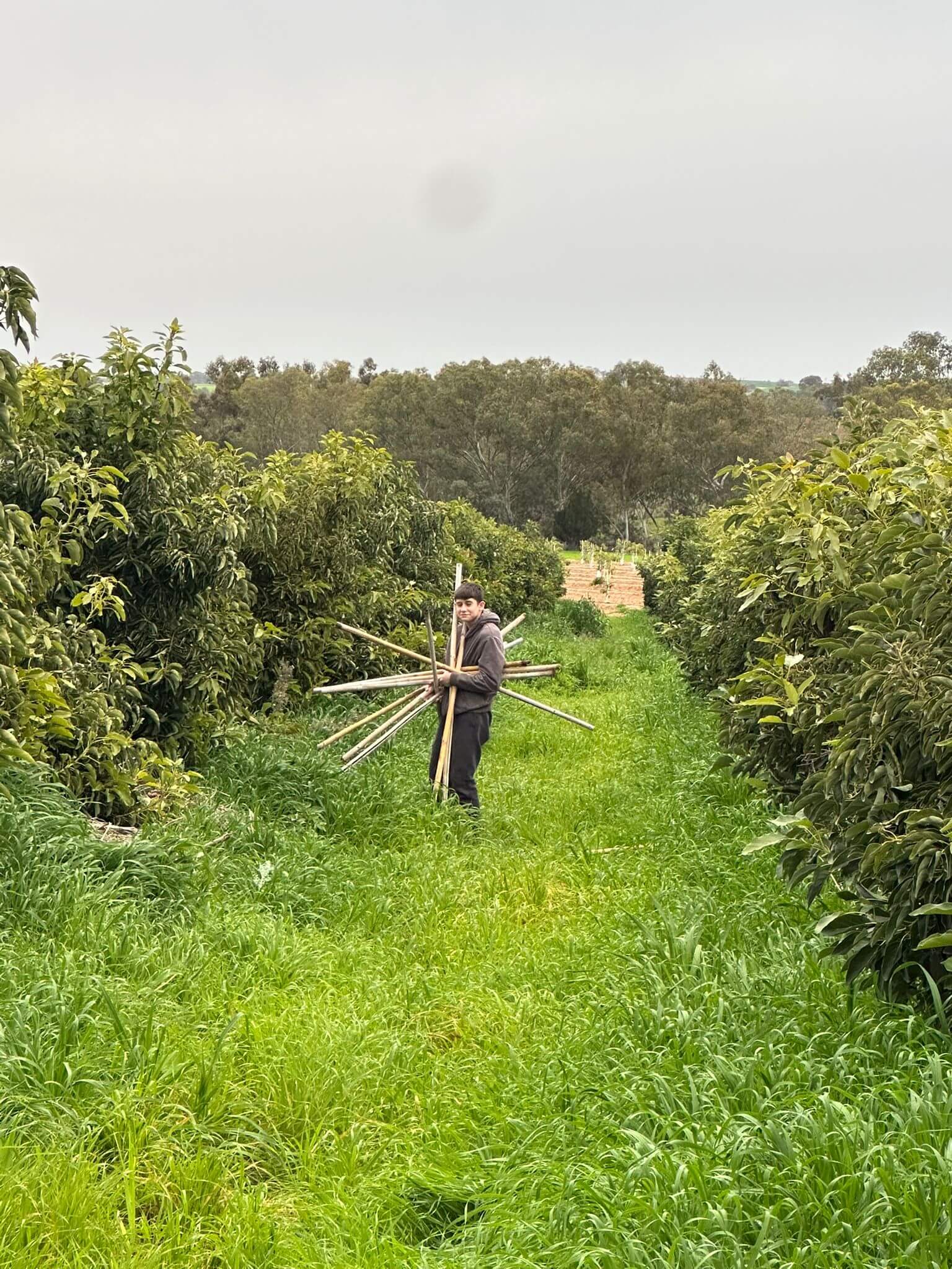 image3